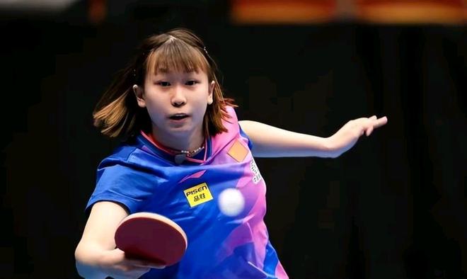 领域的多样 领域的多样