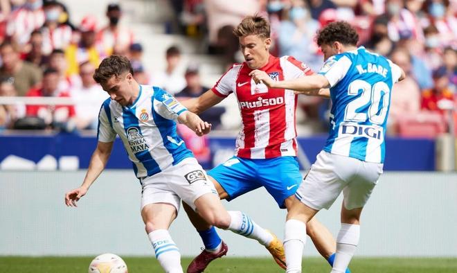 作战状态的 作战状态的